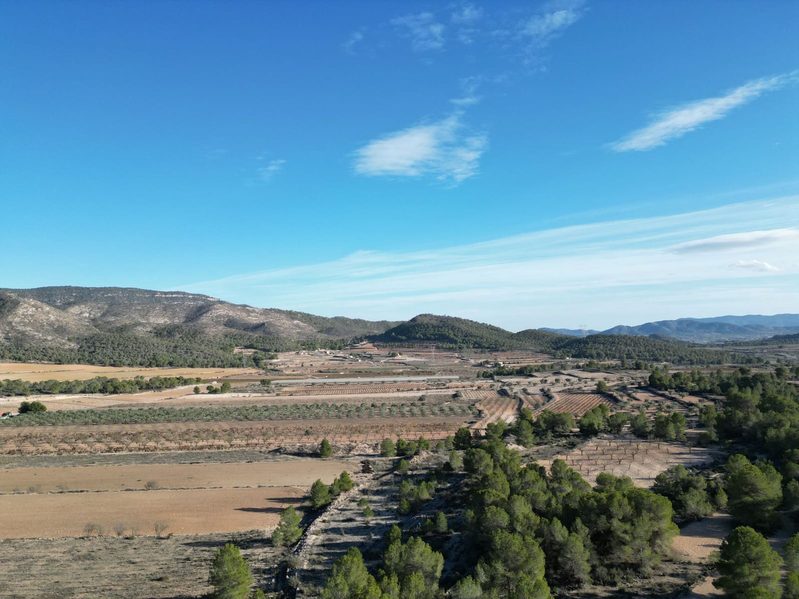 Rakentamaton maa myytävänä paikassa Monovar / Monover - 54 950 € (Ref: 4372034)