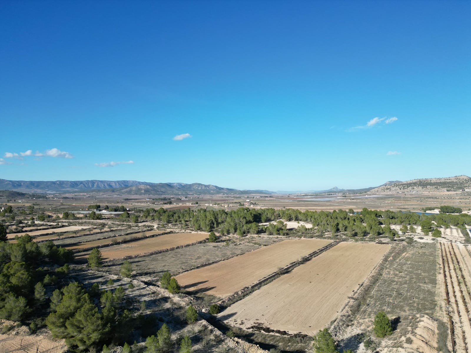 Rakentamaton maa myytävänä paikassa Monovar / Monover - 54 950 € (Ref: 4372034)