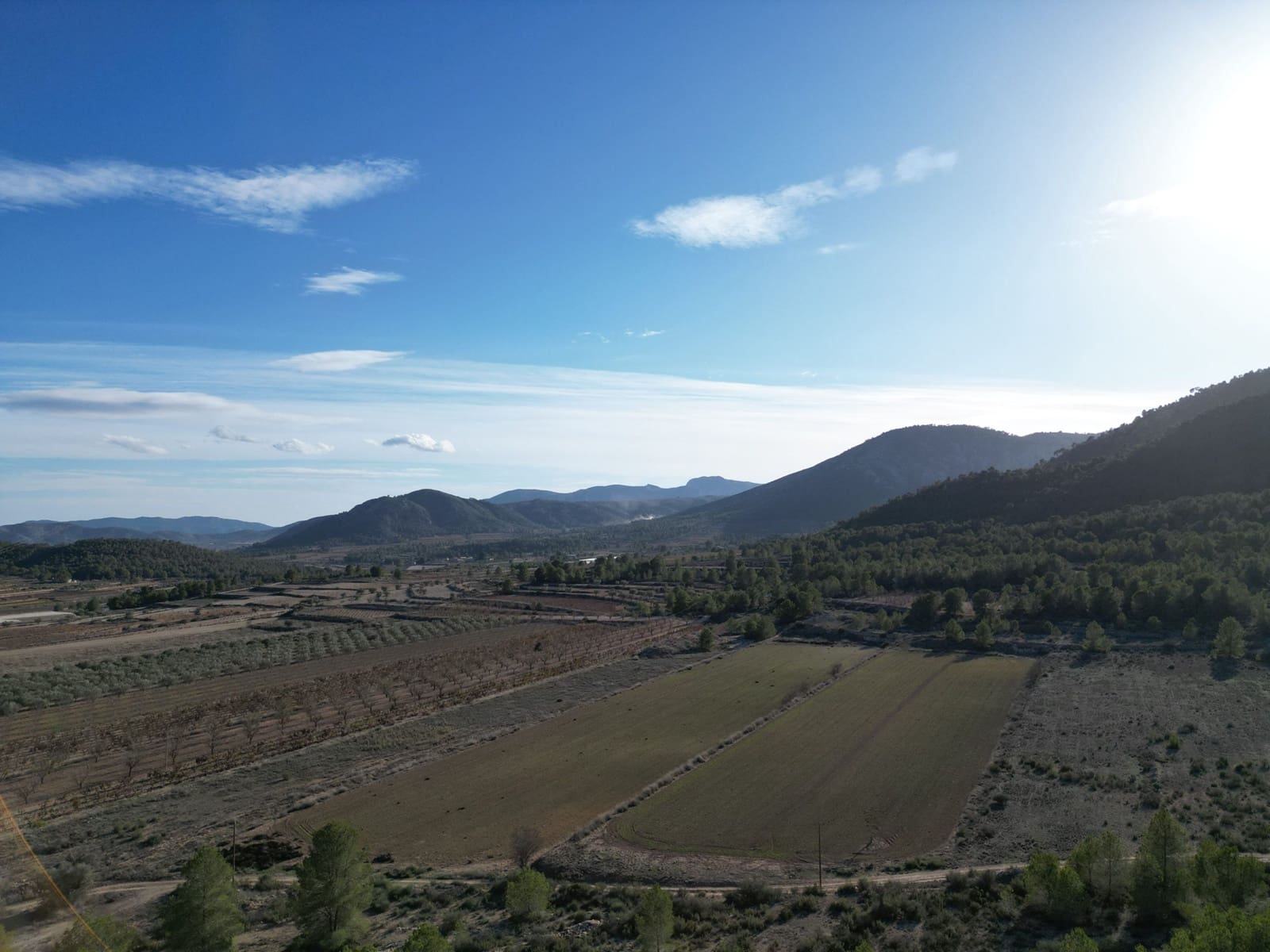 Rakentamaton maa myytävänä paikassa Monovar / Monover - 54 950 € (Ref: 4372034)