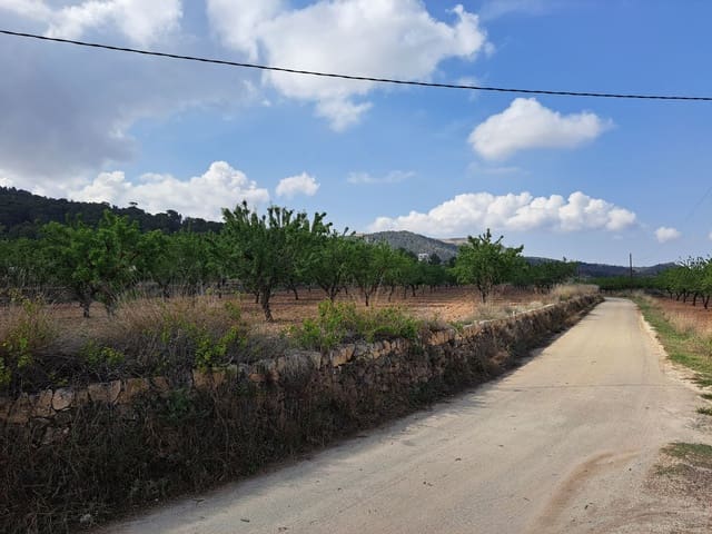 Terreno/Finca Rústica en Pinoso en venta - 49.500 € (Ref: 4374407)