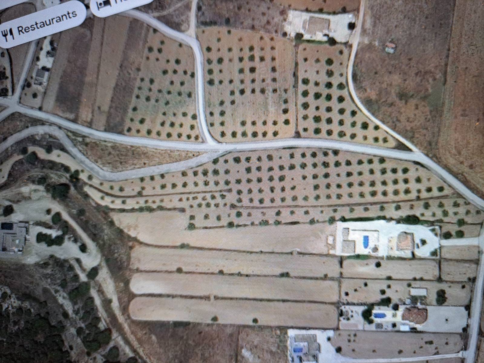 Terreno/Finca Rústica en Pinoso en venta - 49.500 € (Ref: 4374407)