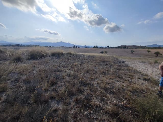 Undeveloped Land for sale in Sax - € 45,000 (Ref: 4412474)