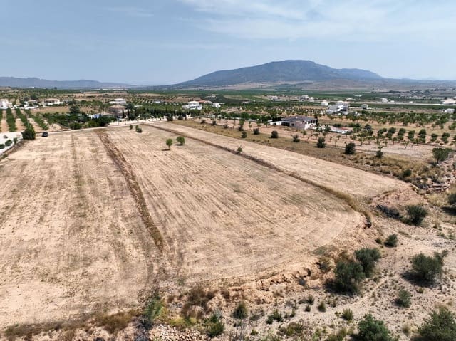 Teren niezagospodarowany na sprzedaż w Pinoso - 69 995 € (Ref: 4419891)