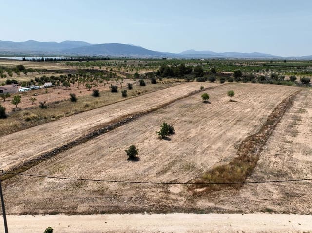 Teren niezagospodarowany na sprzedaż w Pinoso - 69 995 € (Ref: 4419891)