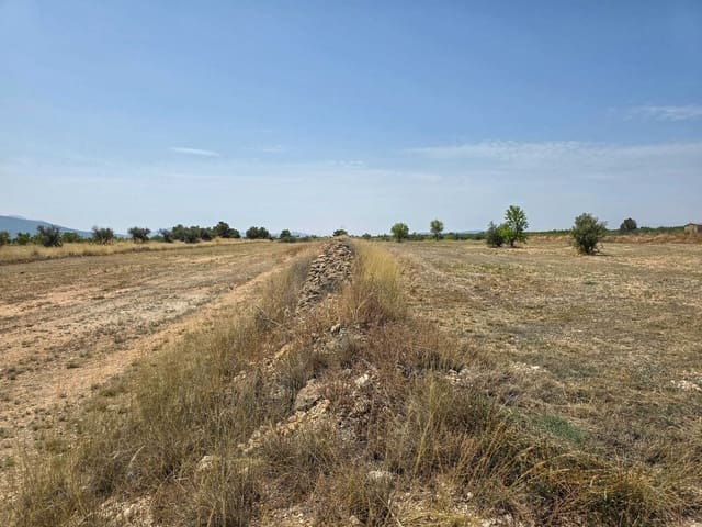 Teren niezagospodarowany na sprzedaż w Pinoso - 69 995 € (Ref: 4419891)