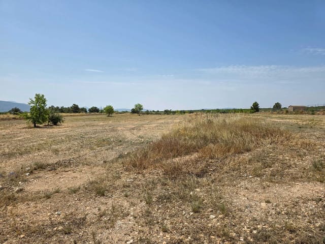 Teren niezagospodarowany na sprzedaż w Pinoso - 69 995 € (Ref: 4419891)