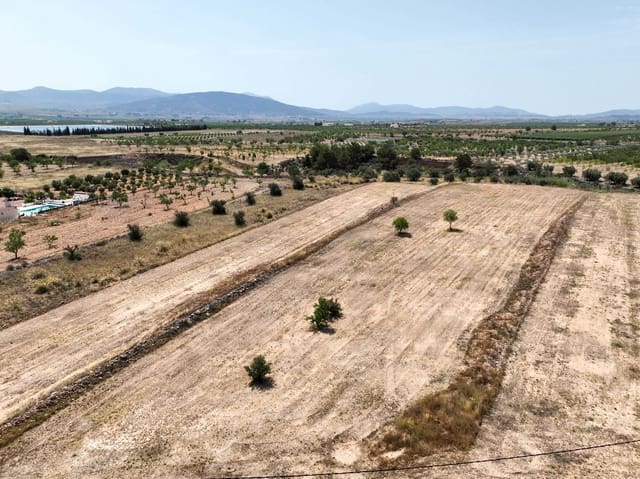 Teren niezagospodarowany na sprzedaż w Pinoso - 69 995 € (Ref: 4419891)