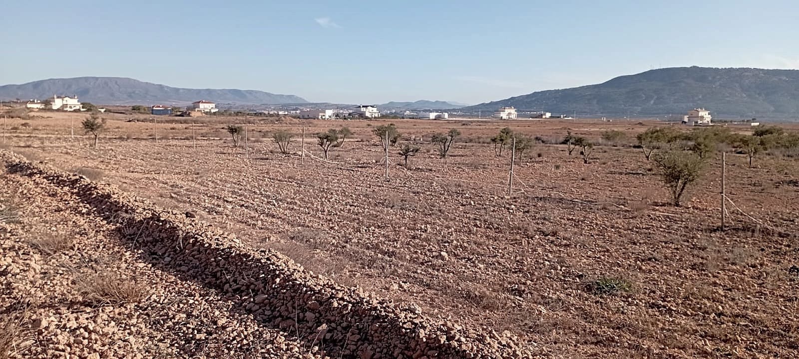 4 soveværelse Finca/Landehus til salg i Pinoso med swimmingpool garage - € 324.000 (Ref: 4426619)