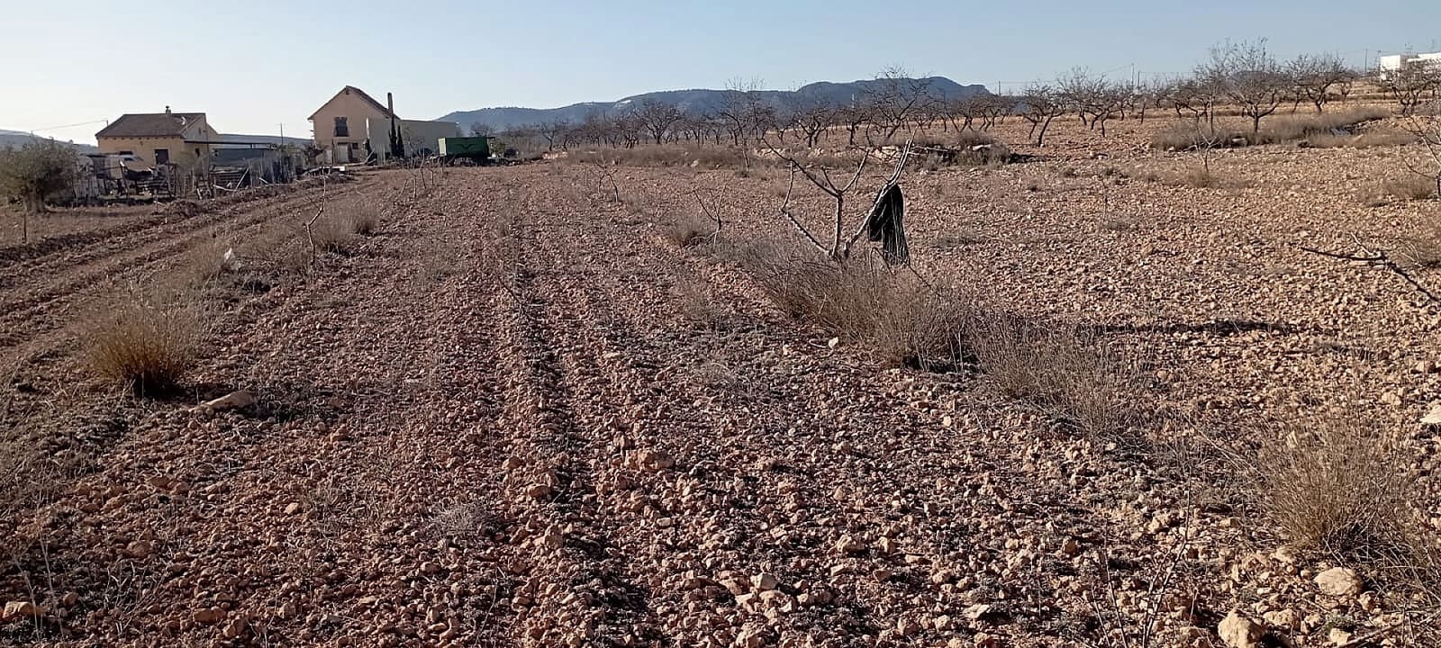 4 soveværelse Finca/Landehus til salg i Pinoso med swimmingpool garage - € 324.000 (Ref: 4426619)