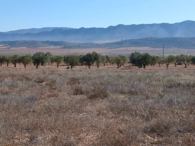 Undeveloped Land for sale in Yecla - € 34,000 (Ref: 4522934)