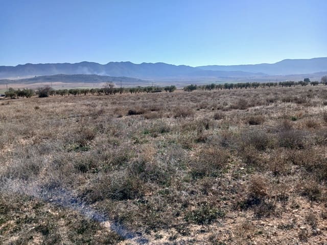 Undeveloped Land for sale in Yecla - € 34,000 (Ref: 4522934)