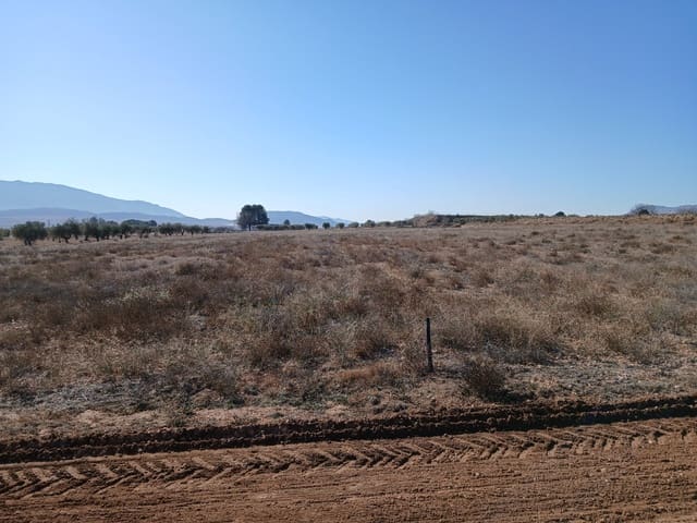 Undeveloped Land for sale in Yecla - € 34,000 (Ref: 4522934)