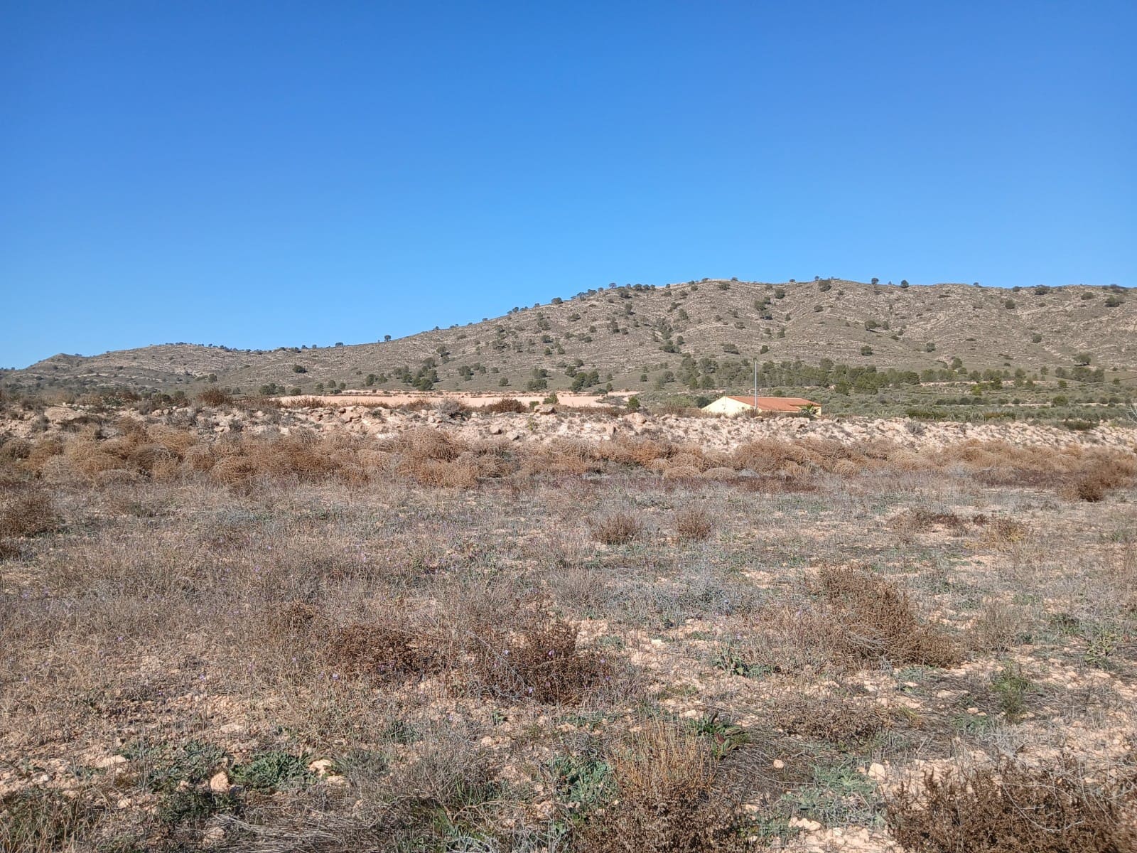 Undeveloped Land for sale in Yecla - € 34,000 (Ref: 4522934)