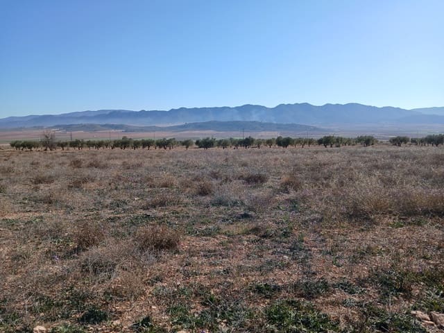 Undeveloped Land for sale in Yecla - € 34,000 (Ref: 4522934)