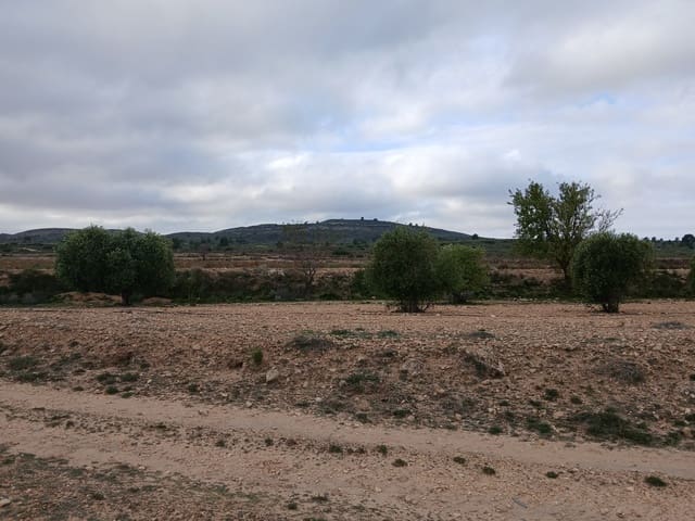 Terreno Não Urbanizado para venda em Yecla - 13 000 € (Ref: 4522935)
