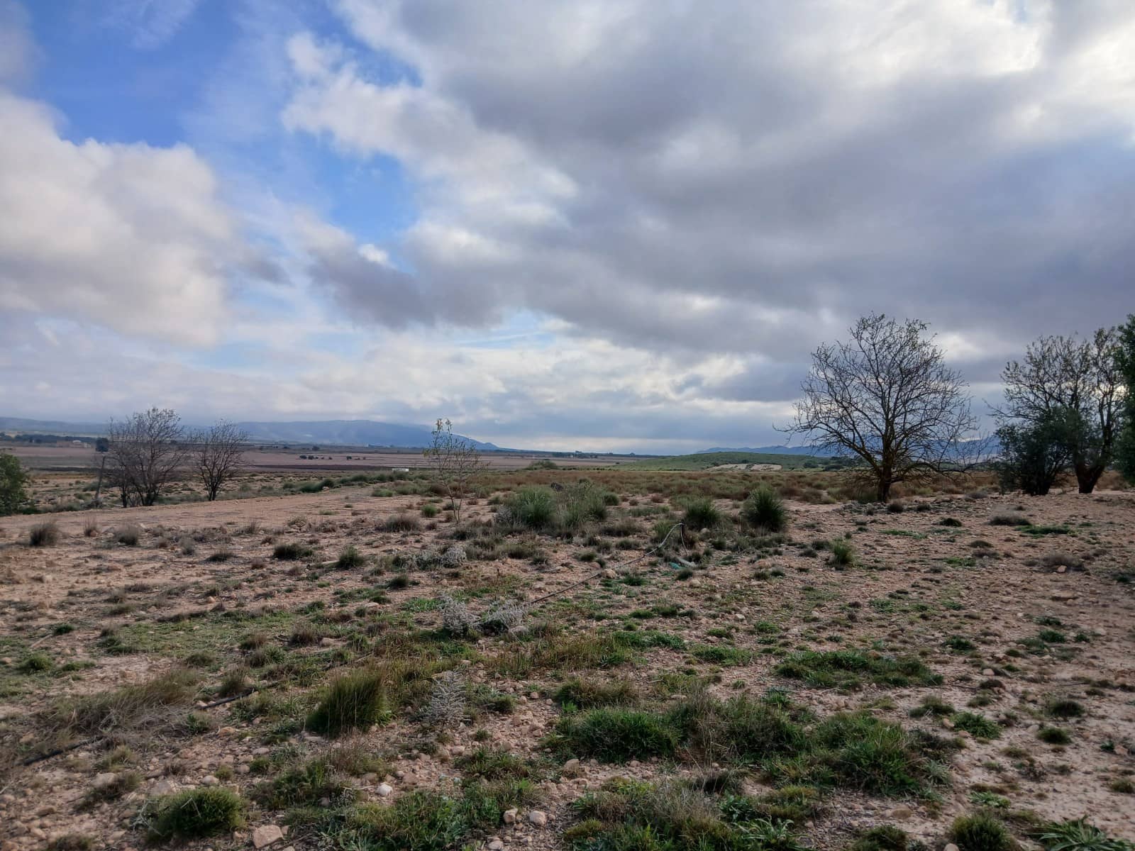 Landgrundstück zu verkaufen in Yecla - 13.000 € (Ref: 4522935)