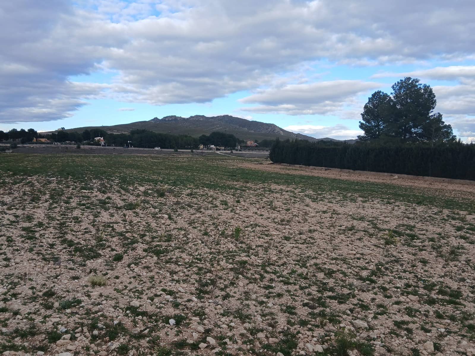 Undeveloped Land for sale in Yecla - € 32,000 (Ref: 4527045)