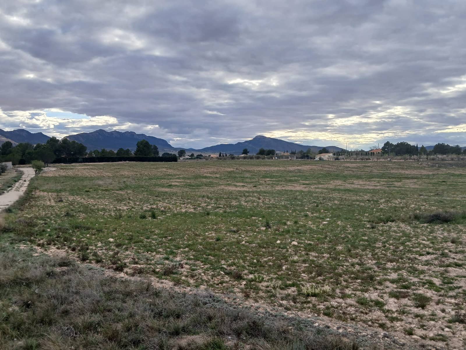 Undeveloped Land for sale in Yecla - € 32,000 (Ref: 4527045)