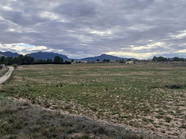 Undeveloped Land for sale in Yecla - € 32,000 (Ref: 4527045)