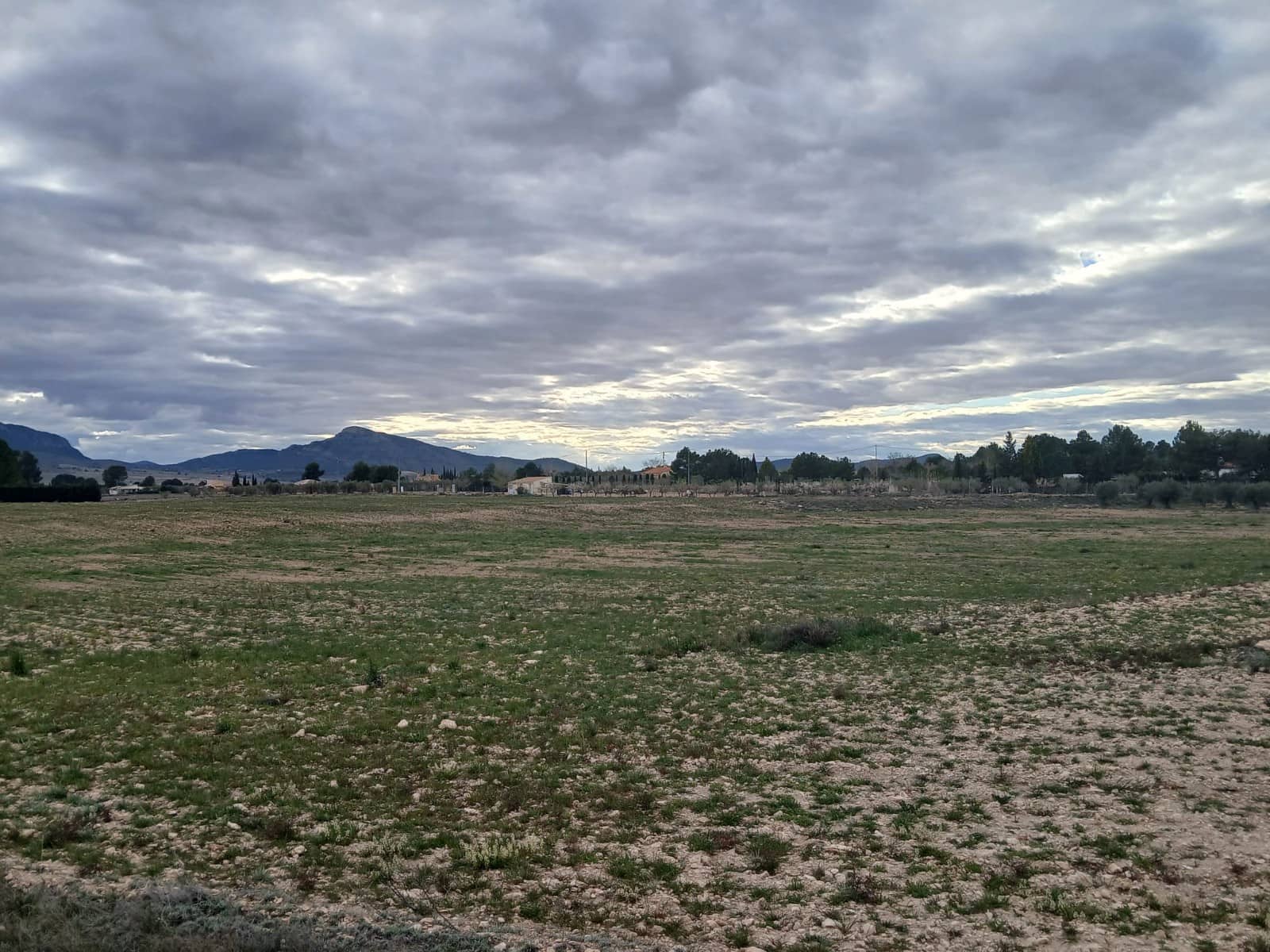 Undeveloped Land for sale in Yecla - € 32,000 (Ref: 4527045)