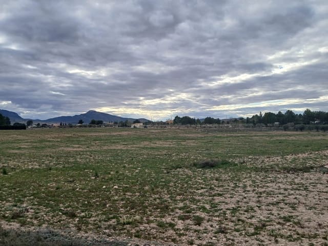 Undeveloped Land for sale in Yecla - € 32,000 (Ref: 4527045)