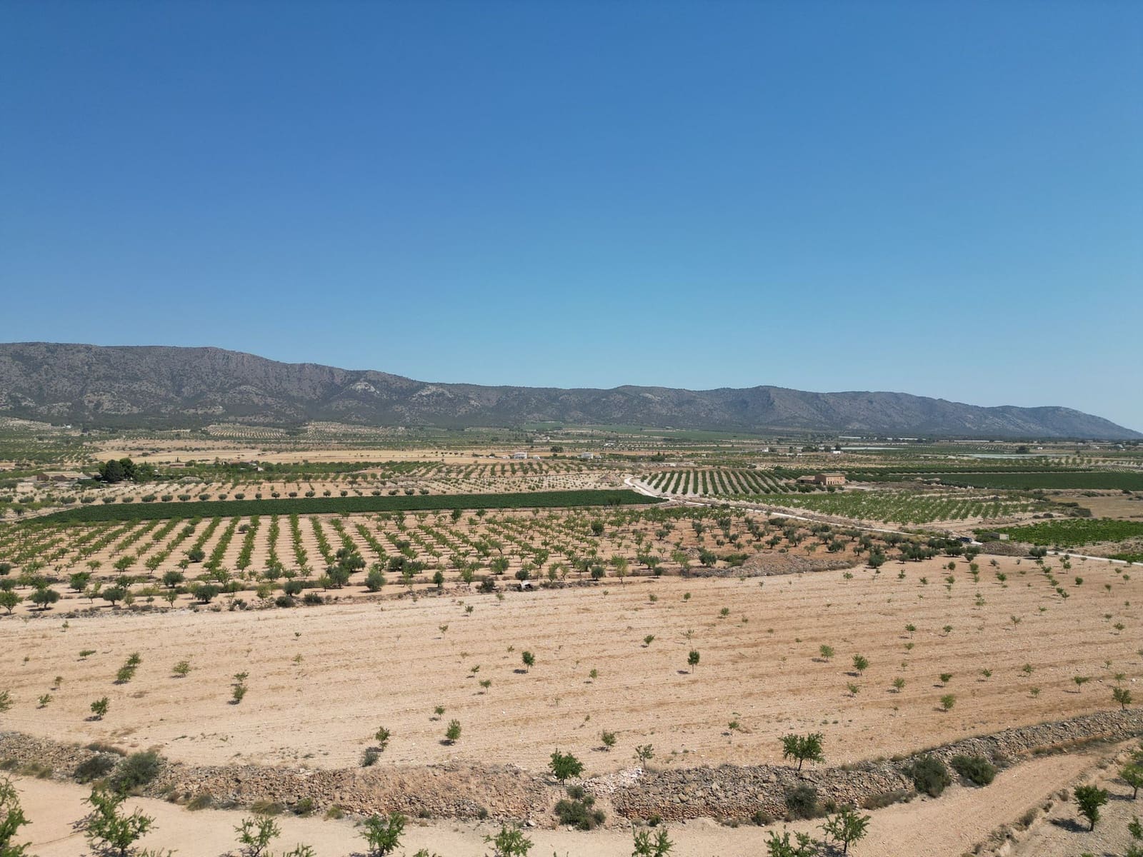 Undeveloped Land for sale in Pinoso - € 66,500 (Ref: 4548808)