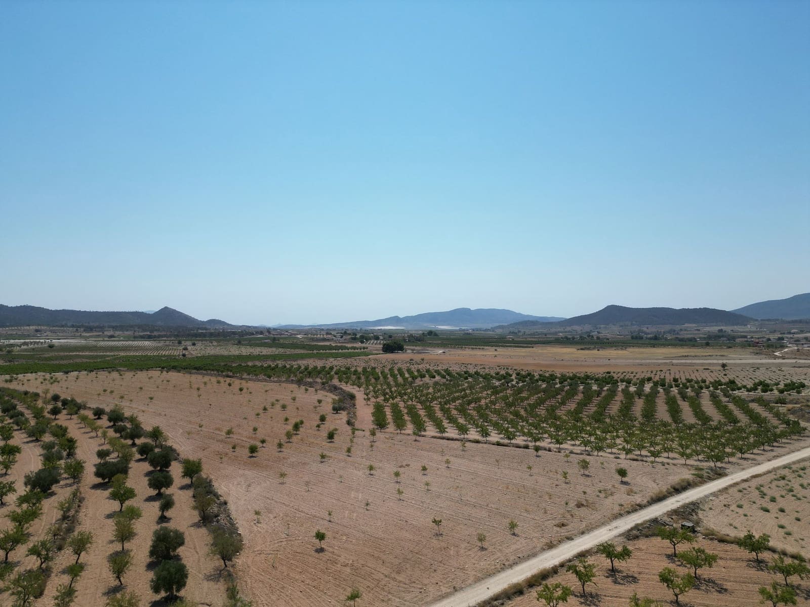 Undeveloped Land for sale in Pinoso - € 66,500 (Ref: 4548808)