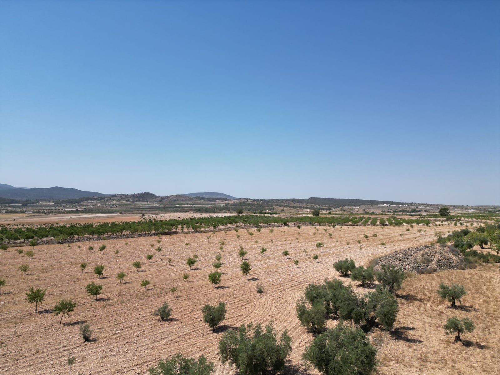 Undeveloped Land for sale in Pinoso - € 66,500 (Ref: 4548808)
