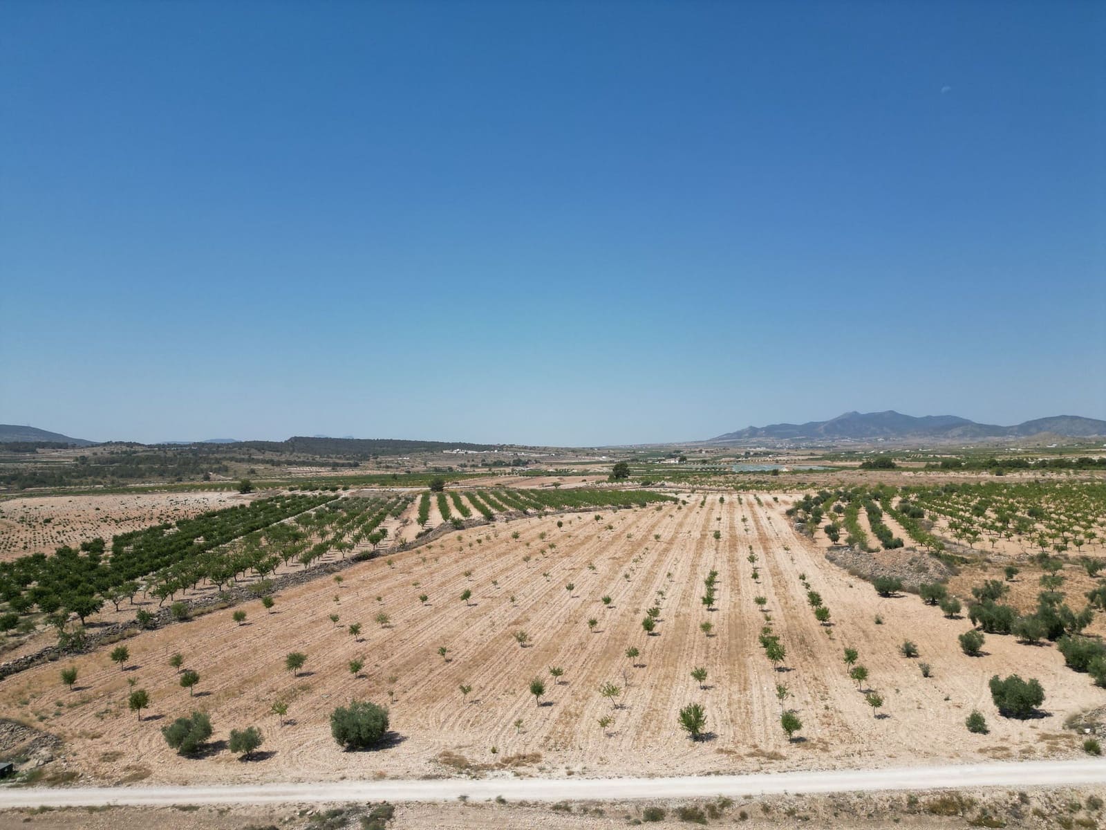 Undeveloped Land for sale in Pinoso - € 66,500 (Ref: 4548808)