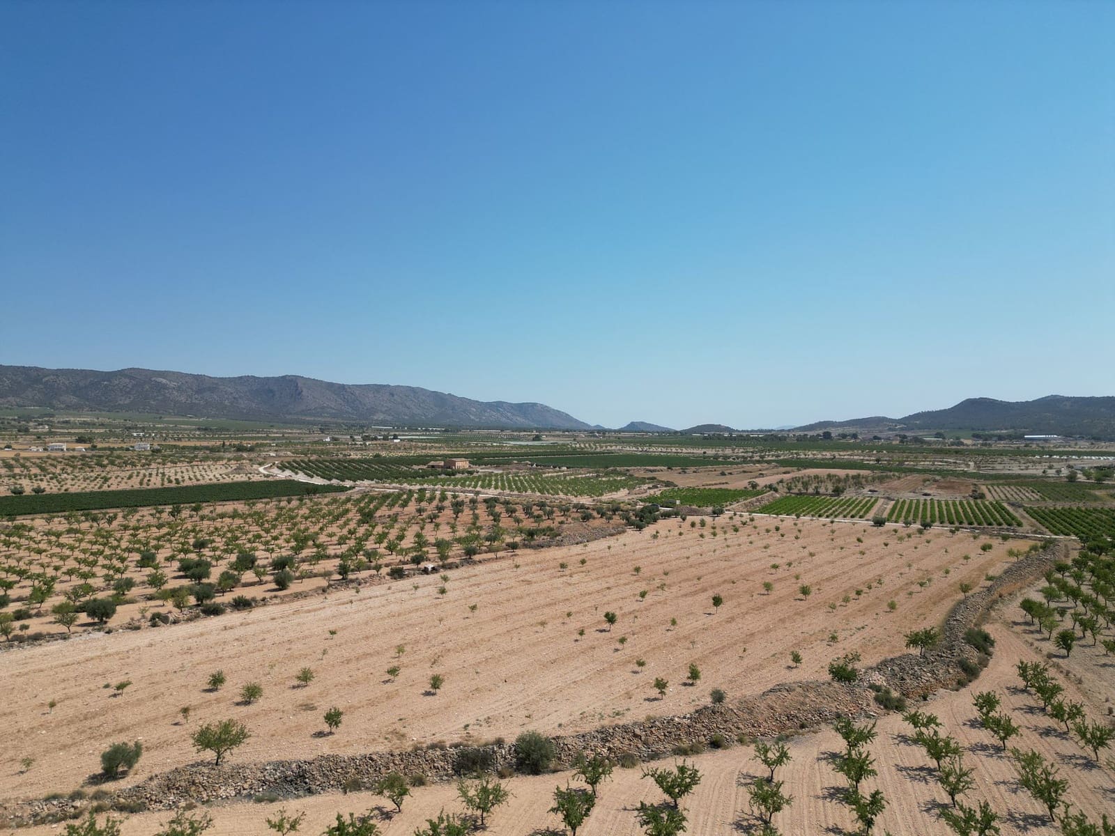 Undeveloped Land for sale in Pinoso - € 66,500 (Ref: 4548808)