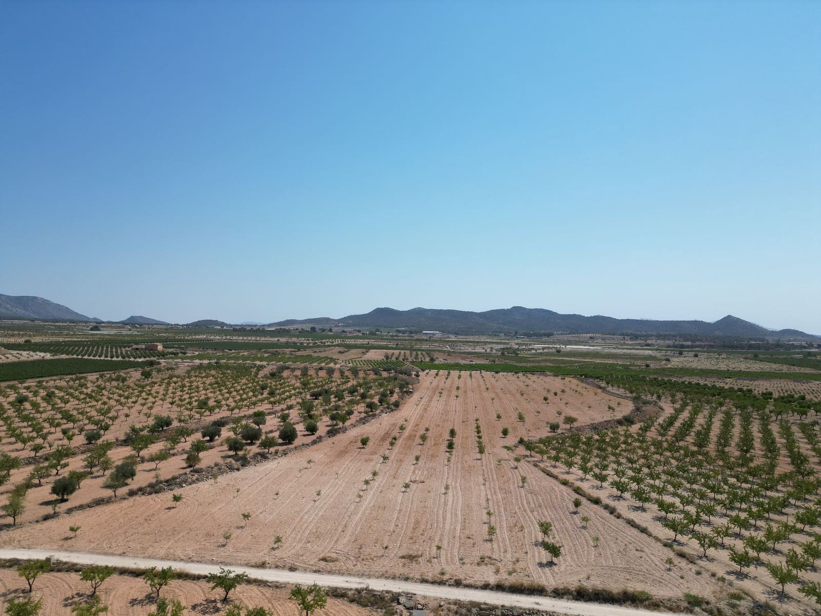 Undeveloped Land for sale in Pinoso - € 66,500 (Ref: 4548808)