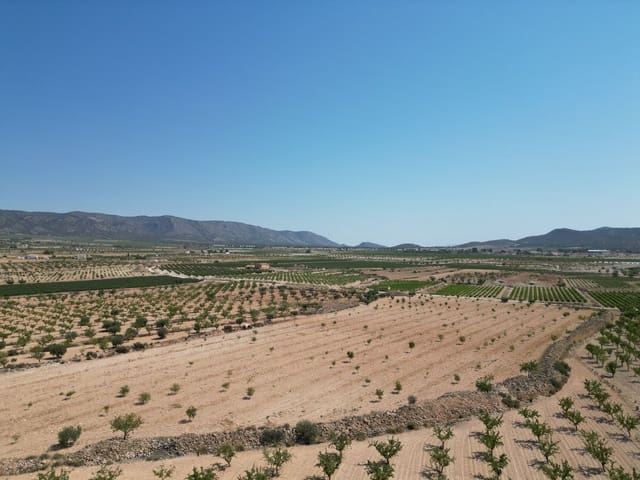 Undeveloped Land for sale in Pinoso - € 66,500 (Ref: 4548808)