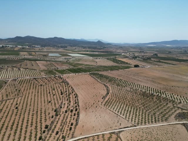 Undeveloped Land for sale in Pinoso - € 66,500 (Ref: 4548808)