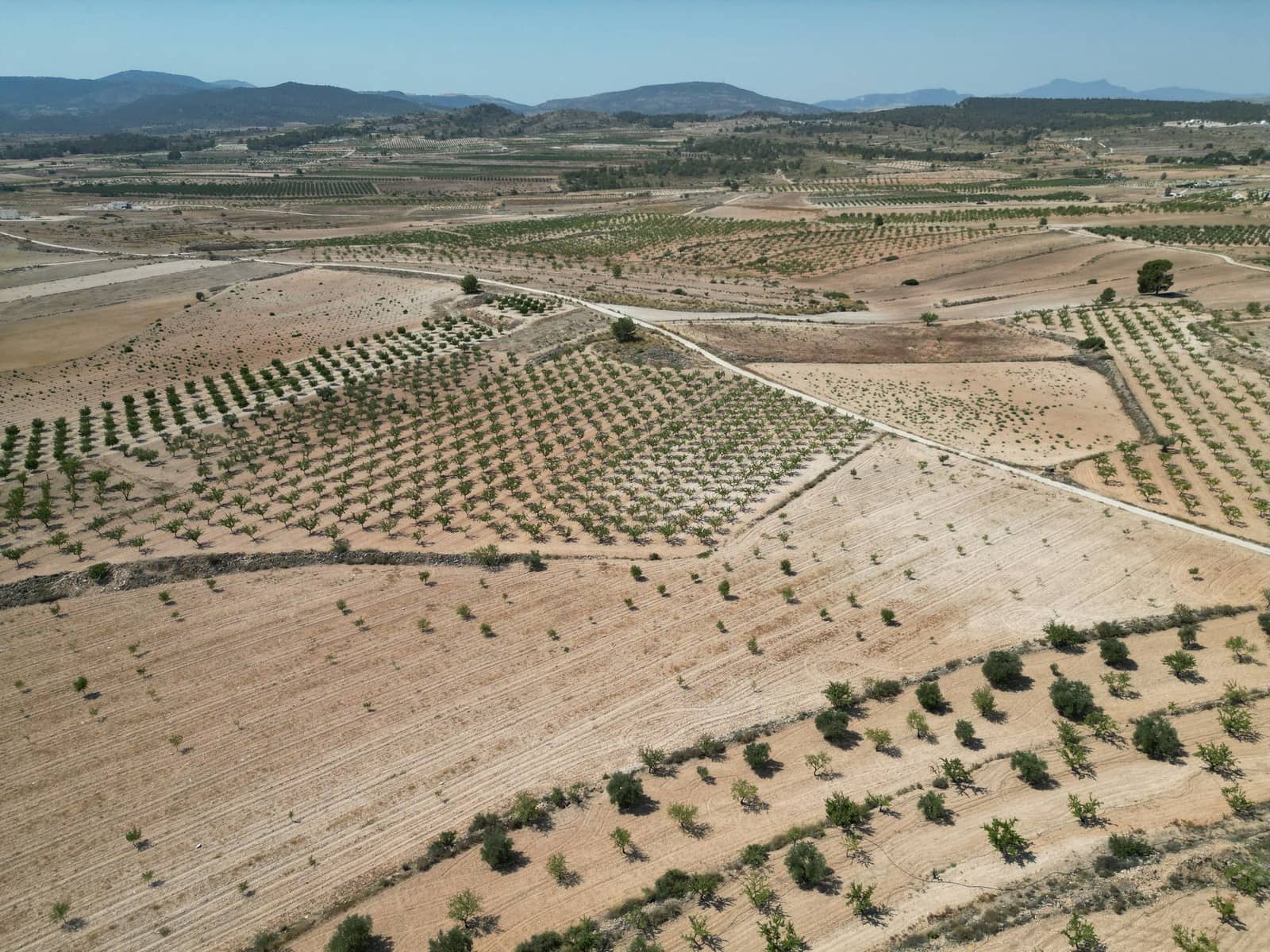 Undeveloped Land for sale in Pinoso - € 66,500 (Ref: 4548808)