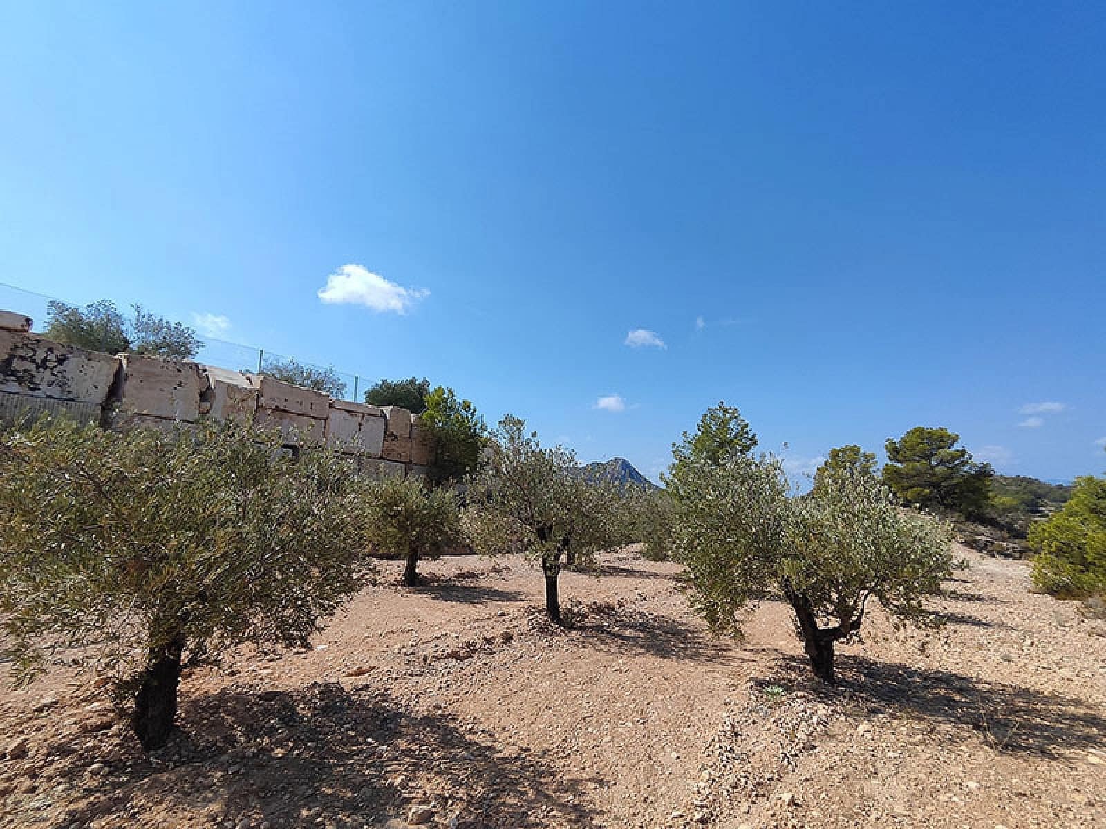 4 camera da letto Villa in vendita in Fortuna con piscina garage - 309.000 € (Rif: 4564727)