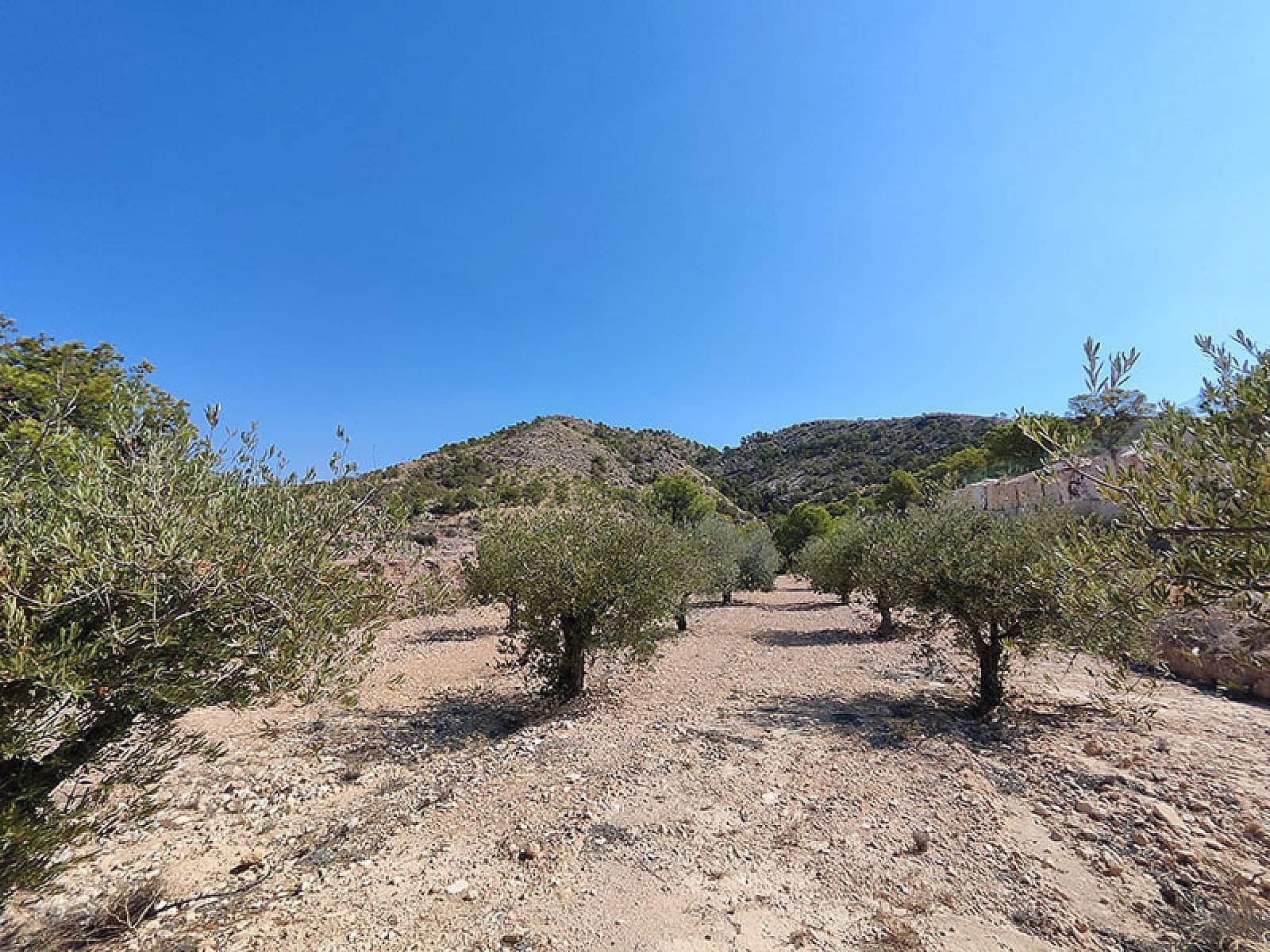 4 camera da letto Villa in vendita in Fortuna con piscina garage - 309.000 € (Rif: 4564727)