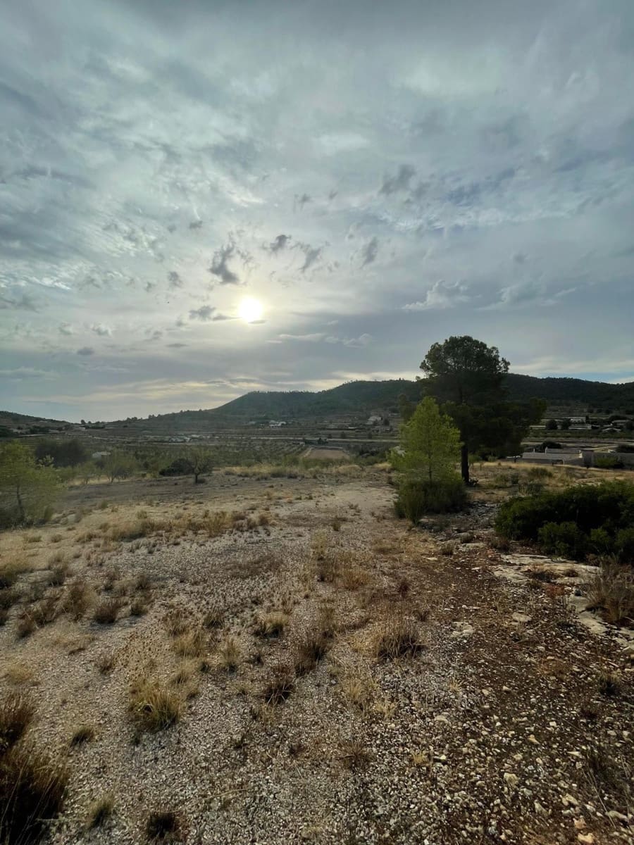 Terreno Não Urbanizado para venda em Pinoso - 145 000 € (Ref: 4566504)