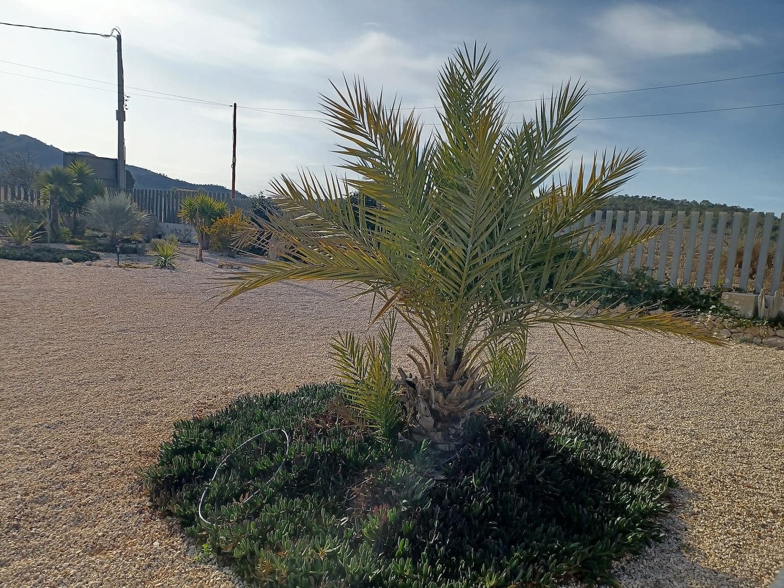 3 slaapkamer Villa te koop in Canada de la Lena met zwembad - € 315.000 (Ref: 4722190)