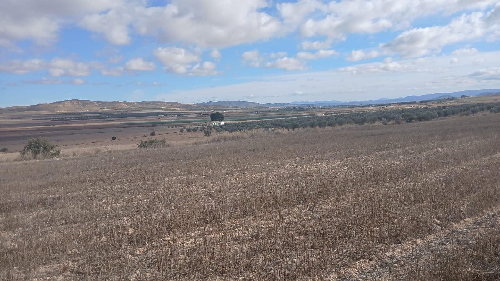 Undeveloped Land for sale in Yecla - € 216,460 (Ref: 4730322)