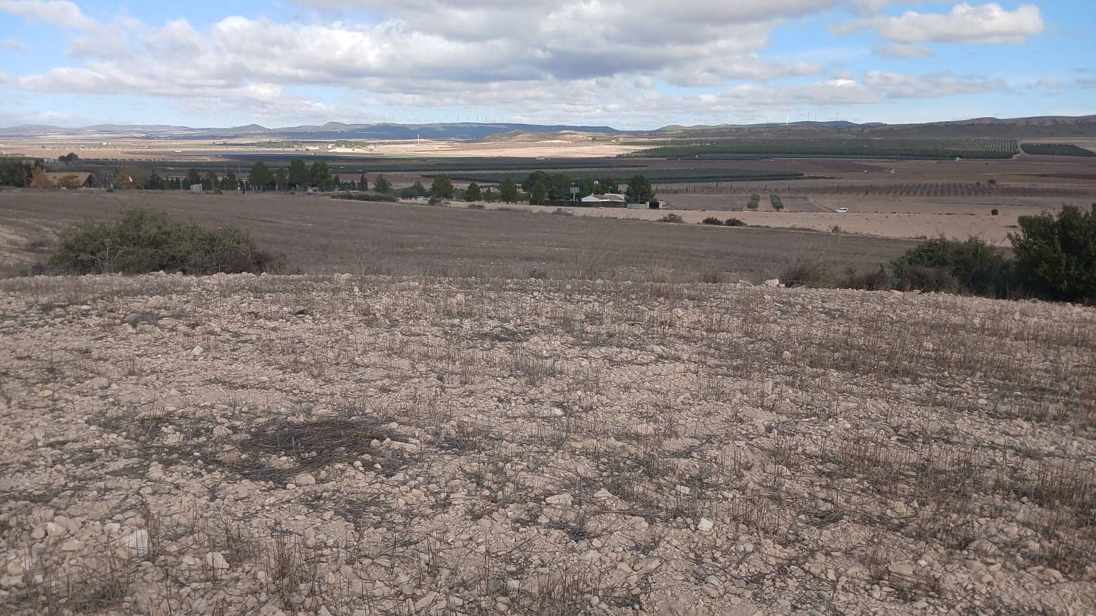 Undeveloped Land for sale in Yecla - € 216,460 (Ref: 4730322)