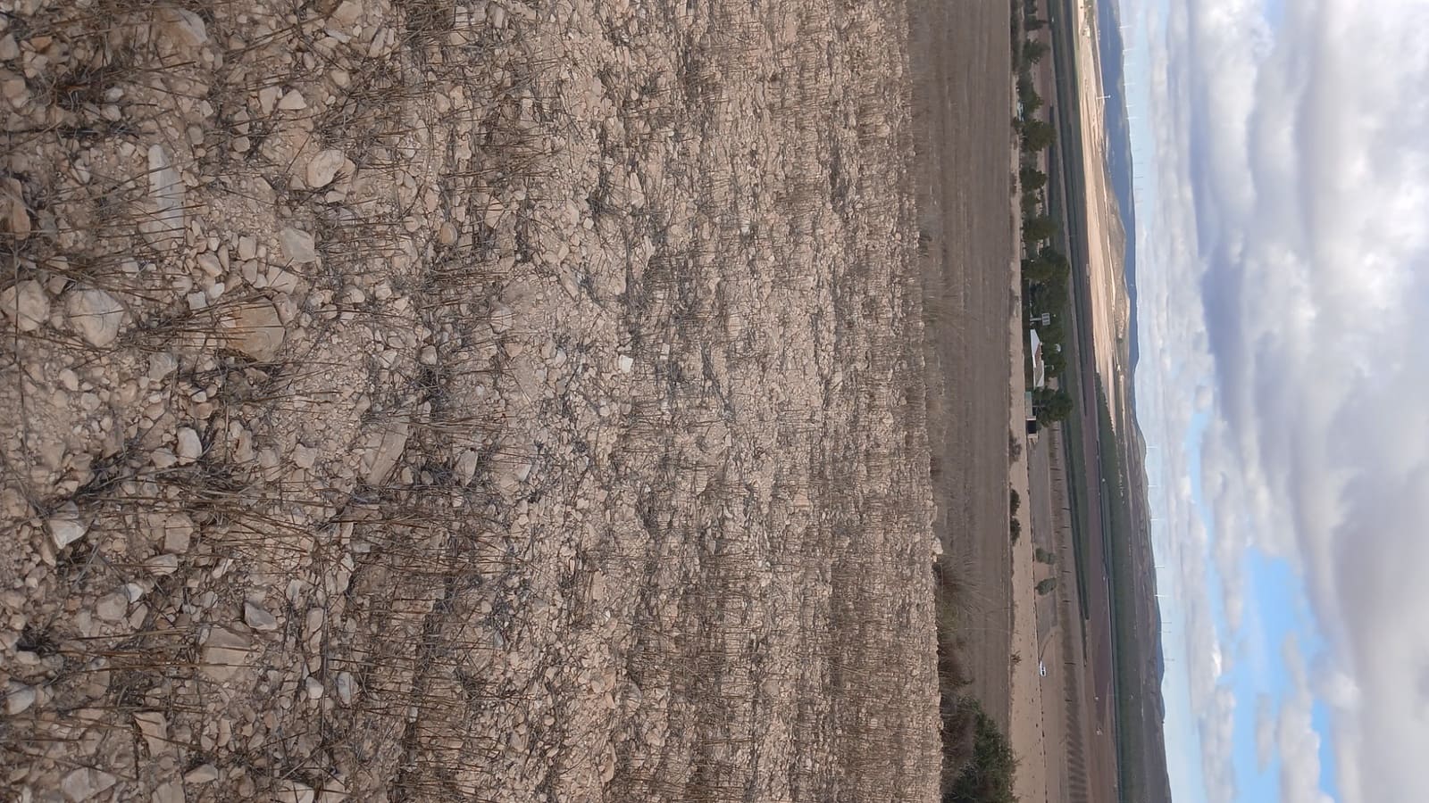 Undeveloped Land for sale in Yecla - € 216,460 (Ref: 4730322)