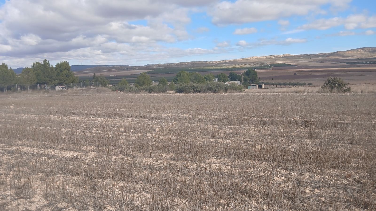 Undeveloped Land for sale in Yecla - € 216,460 (Ref: 4730322)