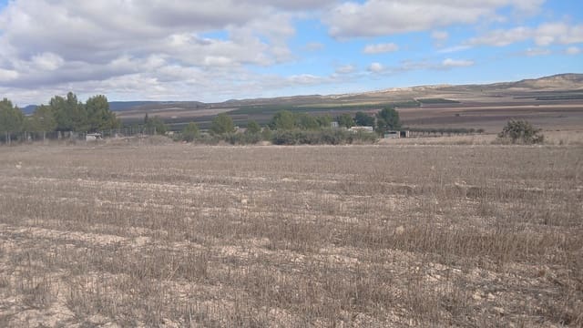 Undeveloped Land for sale in Yecla - € 216,460 (Ref: 4730322)