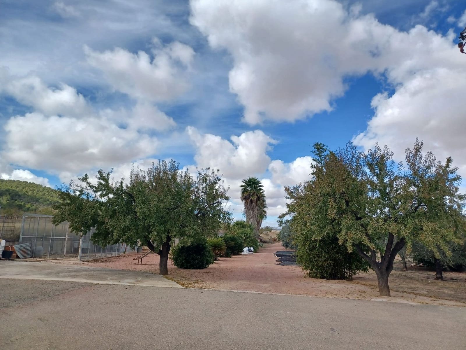 4 Zimmer Finca/Landgut zu verkaufen in Monovar / Monover mit Pool - 225.000 € (Ref: 4857774)