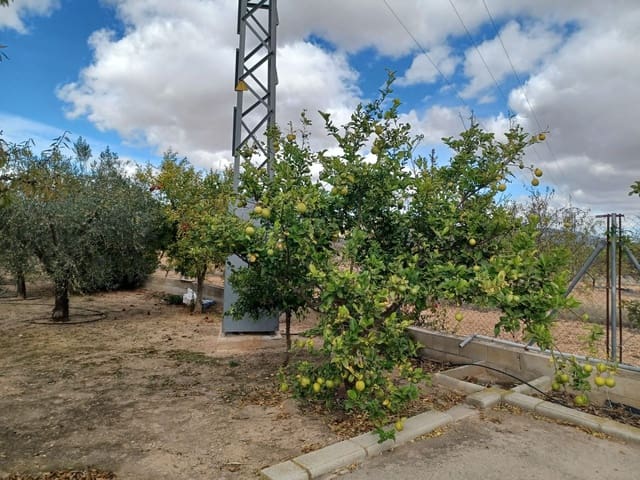 4 Zimmer Finca/Landgut zu verkaufen in Monóvar / Monóver mit Pool - 225.000 € (Ref: 4857774)