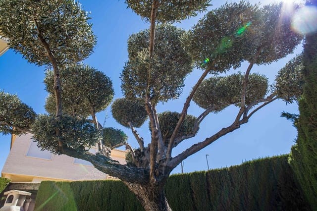 Chalet de 3 habitaciones en Elda en venta con piscina - 430.000 € (Ref: 4880372)