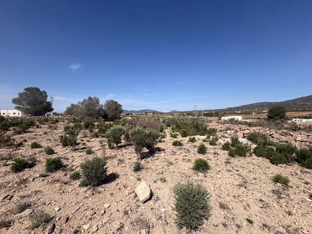 Mark till salu i Pinoso - 49 995 € (Ref: 4893071)