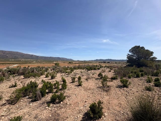 Mark till salu i Pinoso - 49 995 € (Ref: 4893071)