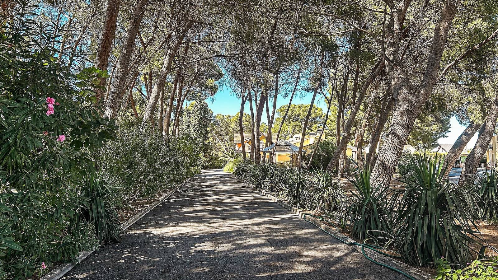 4 Zimmer Villa zu verkaufen in Yecla mit Pool Garage - 699.000 € (Ref: 4957531)