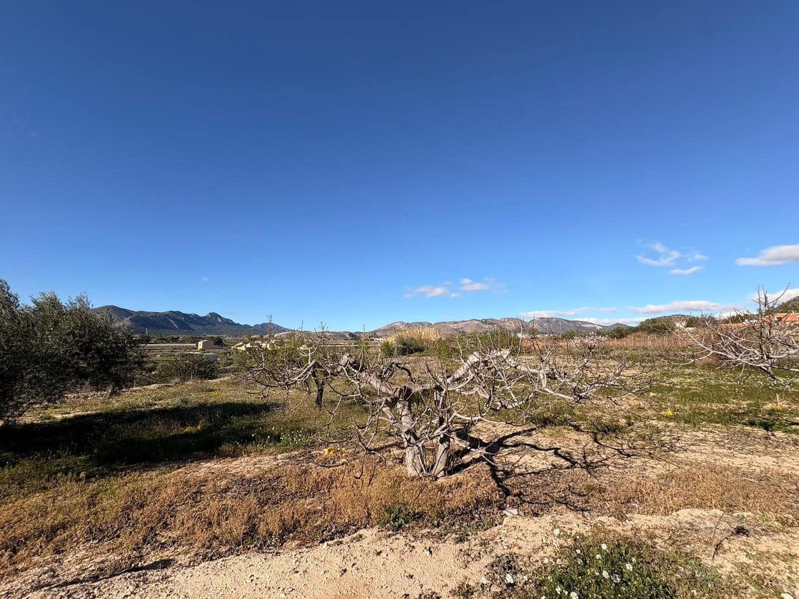 Finca/Casa Rural de 4 habitaciones en La Romana en venta con piscina garaje - 149.995 € (Ref: 4957540)